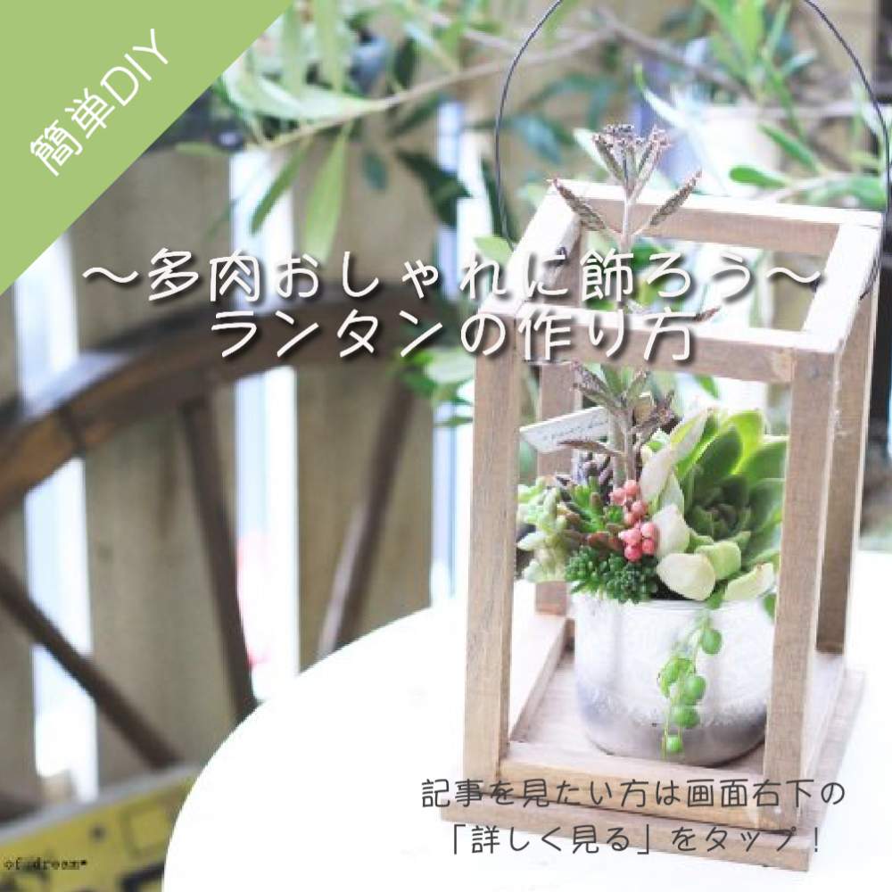 インテリアの画像 by GreenSnap公式さん | インテリアと多肉植物。とテーブルフラワーの花々とランタンと簡単DIY